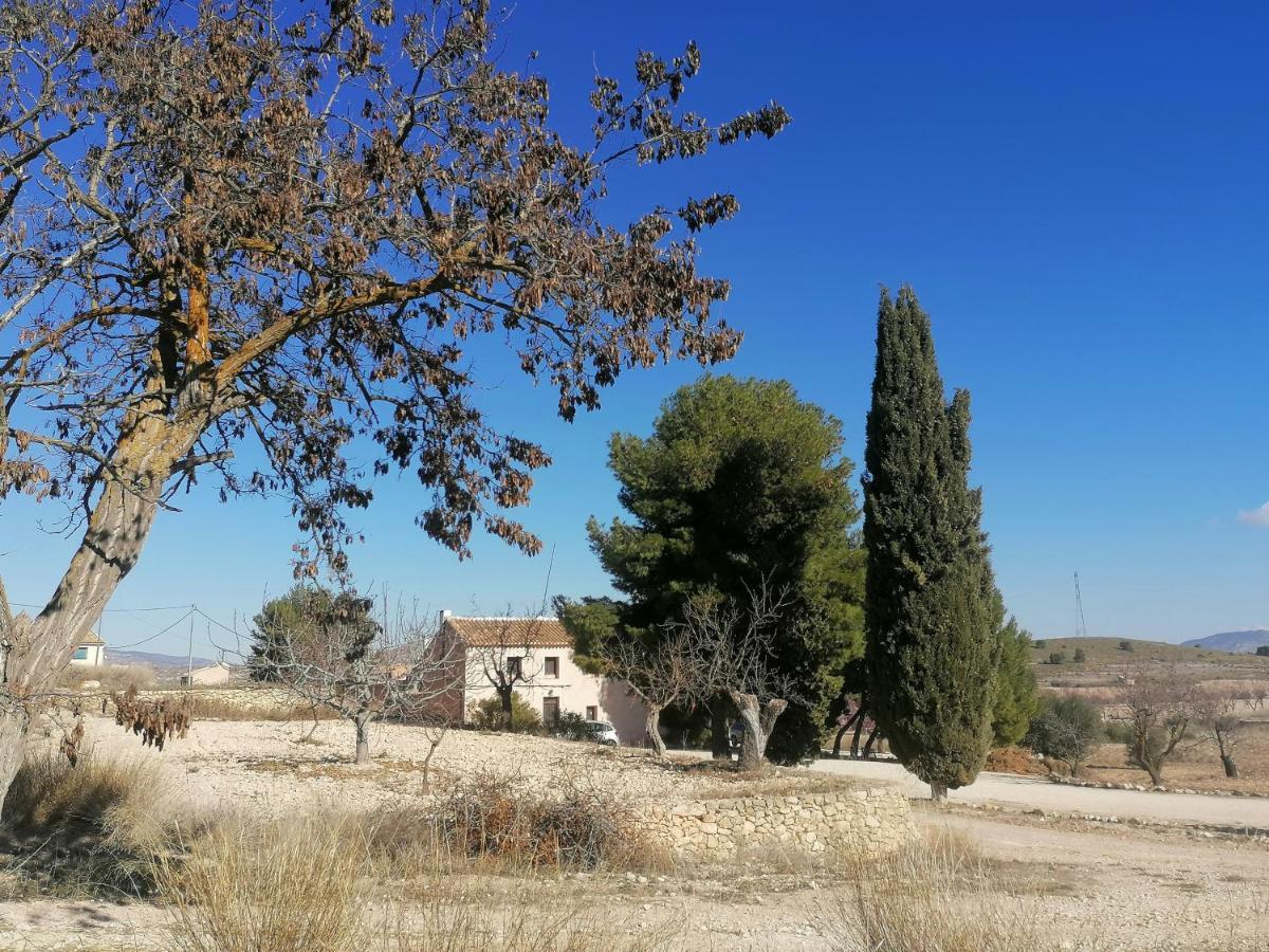 Finca Guillermo Murcia Canada del Trigo Esterno foto